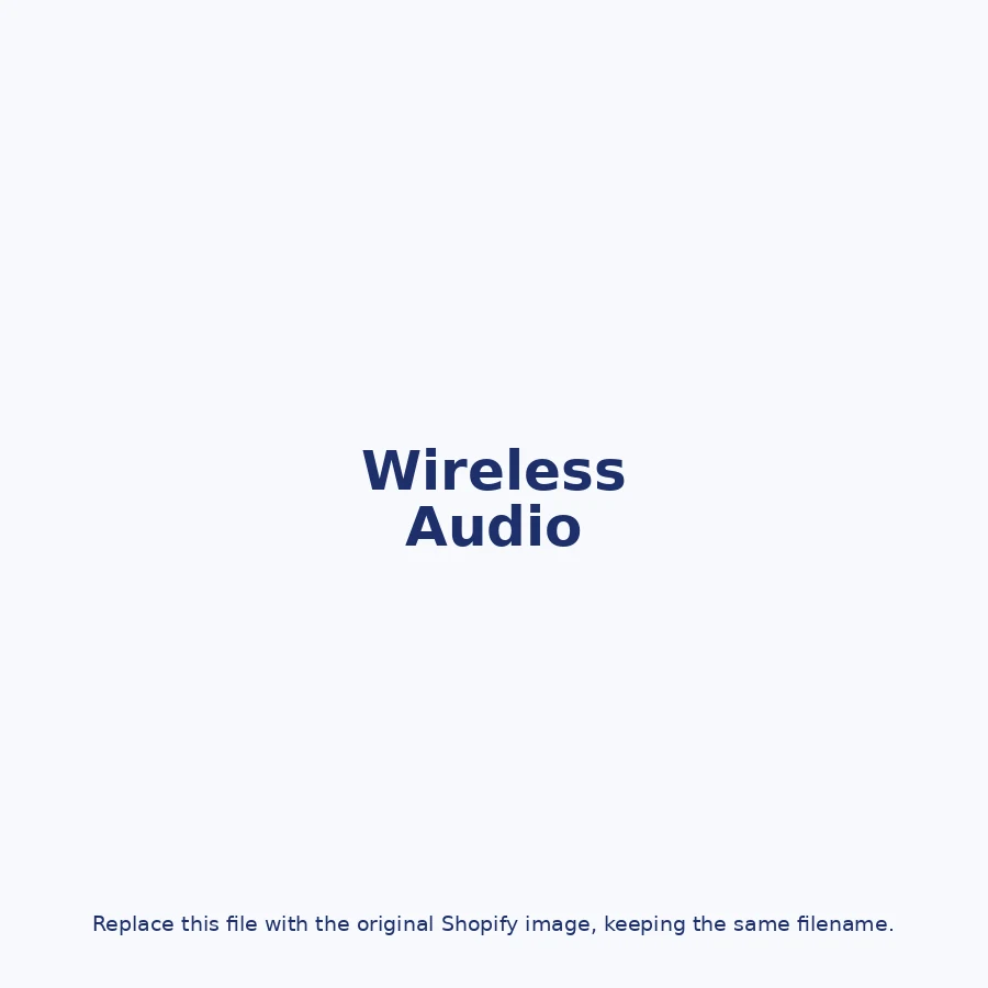 Wireless Audio Accessory